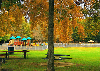Picnic Table with grass field and playground visible.