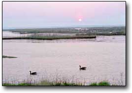 Two waterfowl on water in a wetlands scene with sunset at the Forsythe National Wildlife Refuge