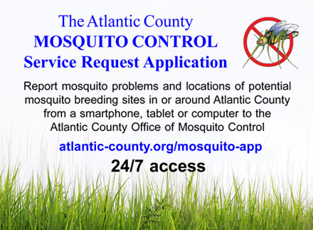The Atlantic County MOSQUITO CONTROL Service Request Application -  Report mosquito problems and locations of potential mosquito breeding sites in or around Atlantic County from a smartphone, tablet or computer to the Atlantic County Office of Mosquito Control atlantic-county.org/mosquito-app 24/7 access to supplement our customer service support at (609) 645-5948
